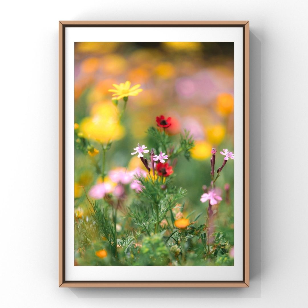Levantine Kingdom of Tiny Flowers IX