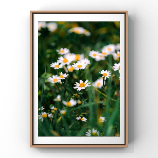 Levantine Kingdom of Tiny Flowers VI