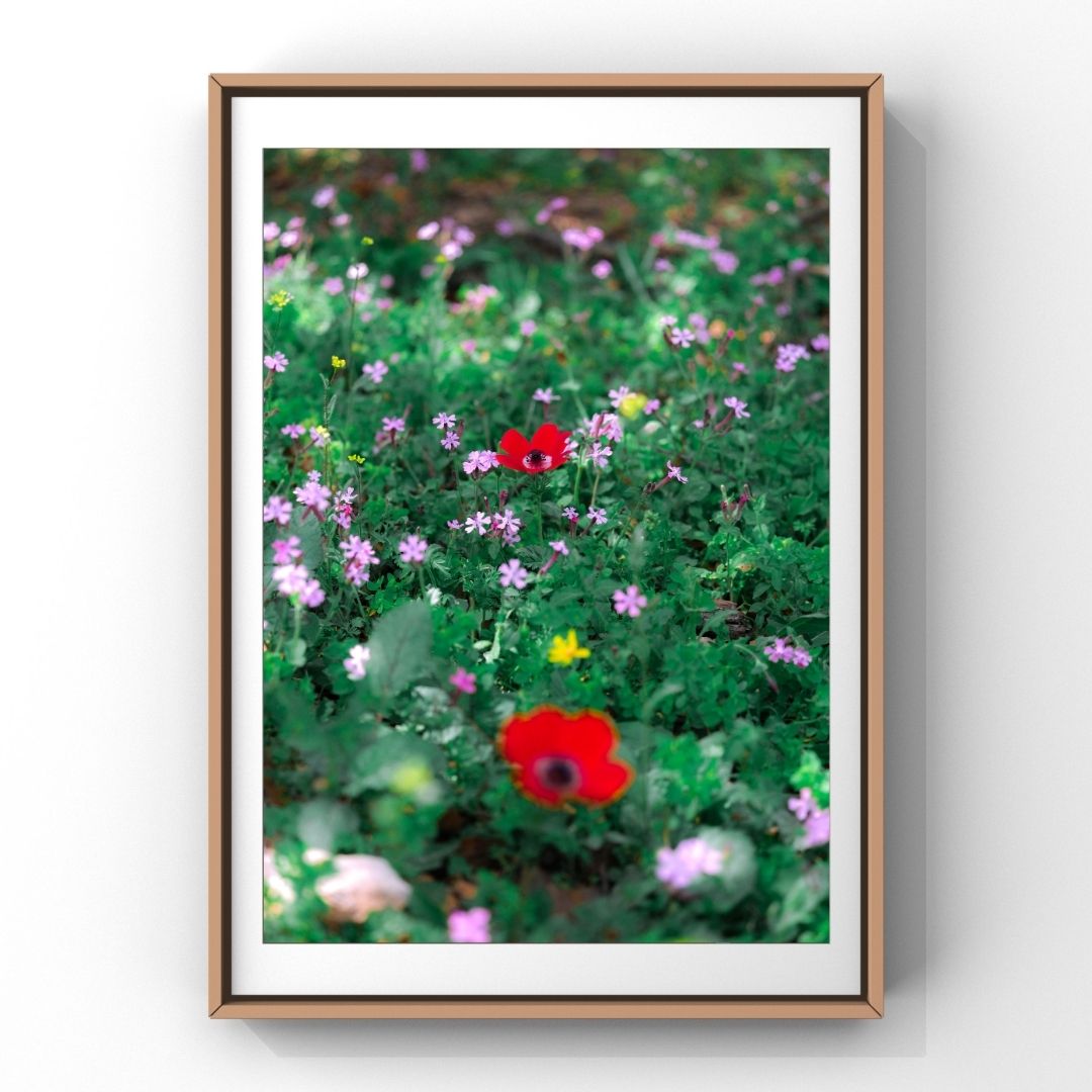Levantine Kingdom of Tiny Flowers VII