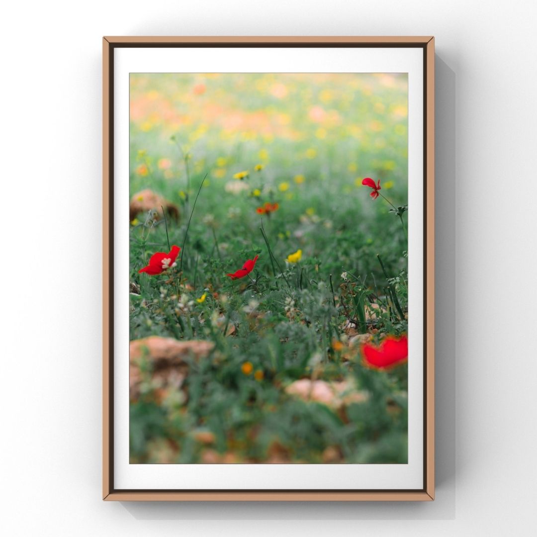 Levantine Kingdom of Tiny Flowers XVI