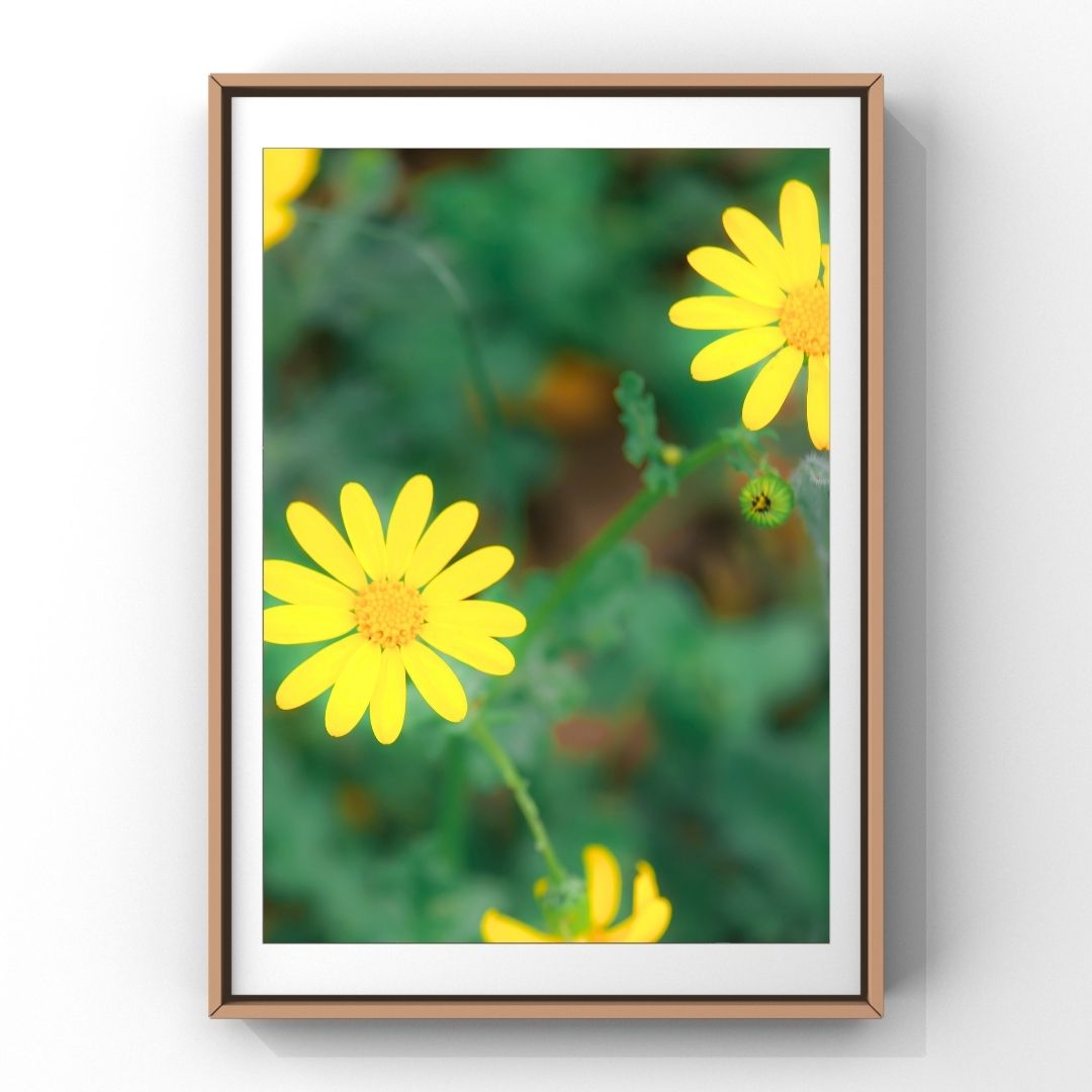 Levantine Kingdom of Tiny Flowers XIV