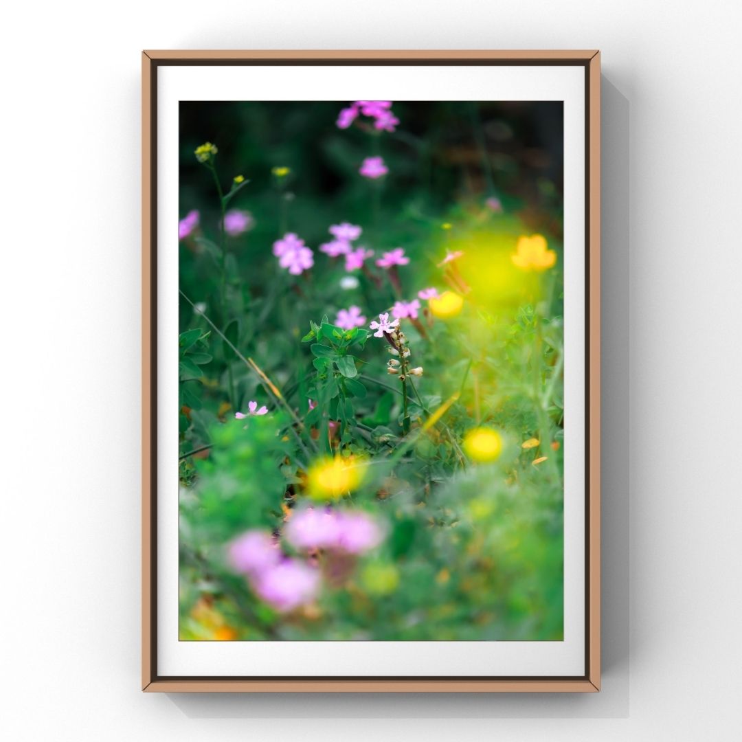 Levantine Kingdom of Tiny Flowers XV