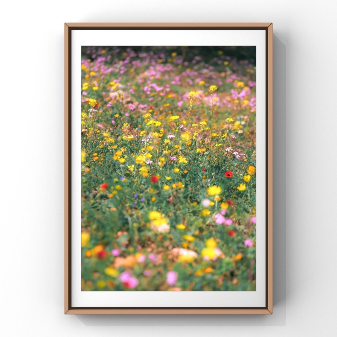 Levantine Kingdom of Tiny Flowers II