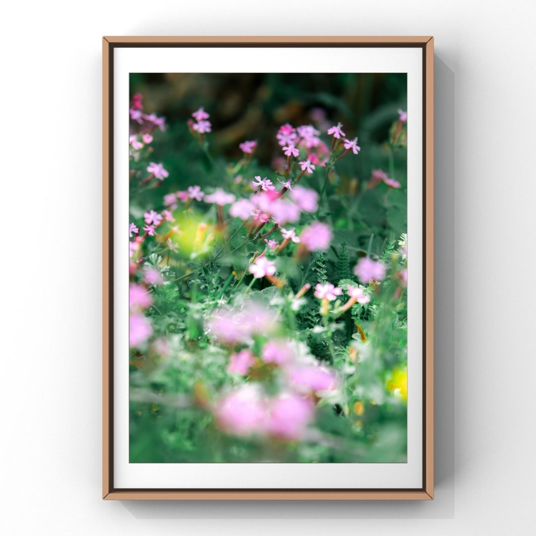 Levantine Kingdom of Tiny Flowers XIII
