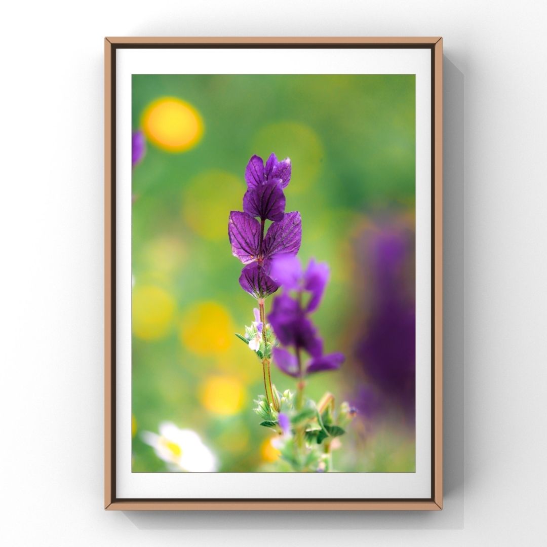 Levantine Kingdom of Tiny Flowers III