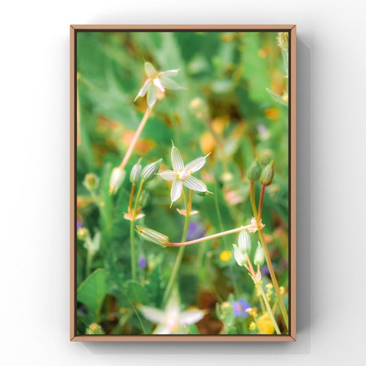 Levantine Kingdom of Tiny Flowers I