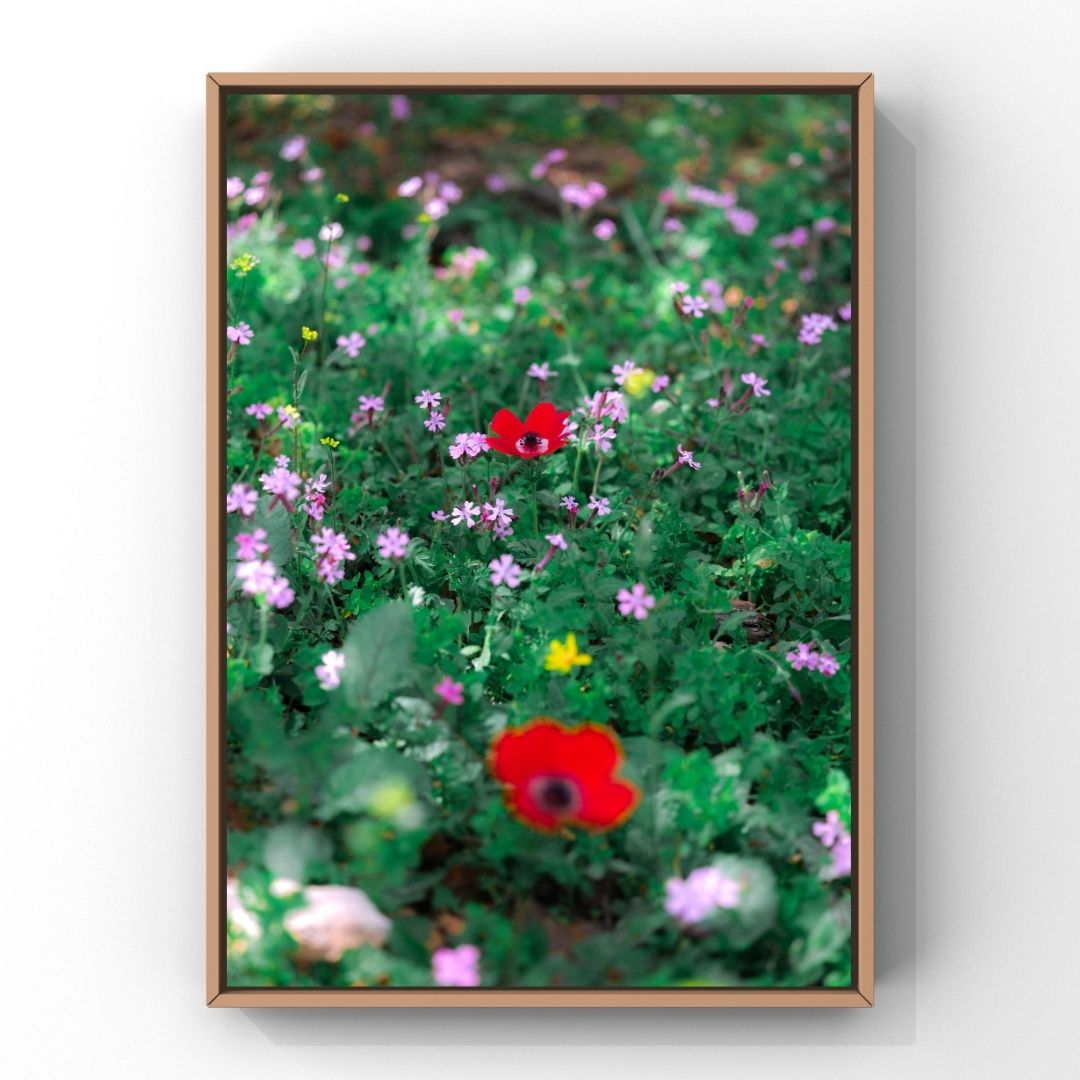 Levantine Kingdom of Tiny Flowers VII