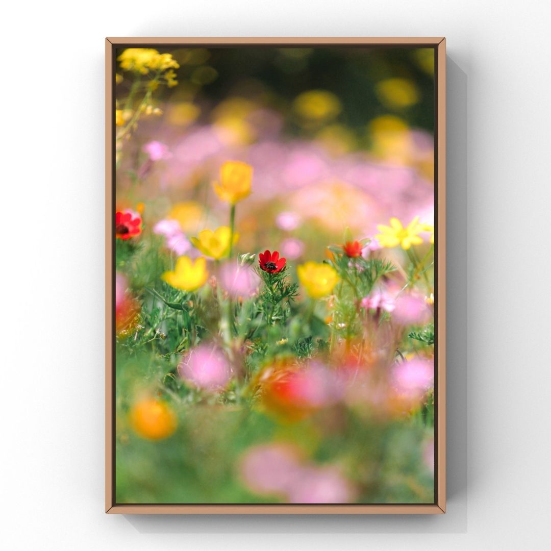 Levantine Kingdom of Tiny Flowers X