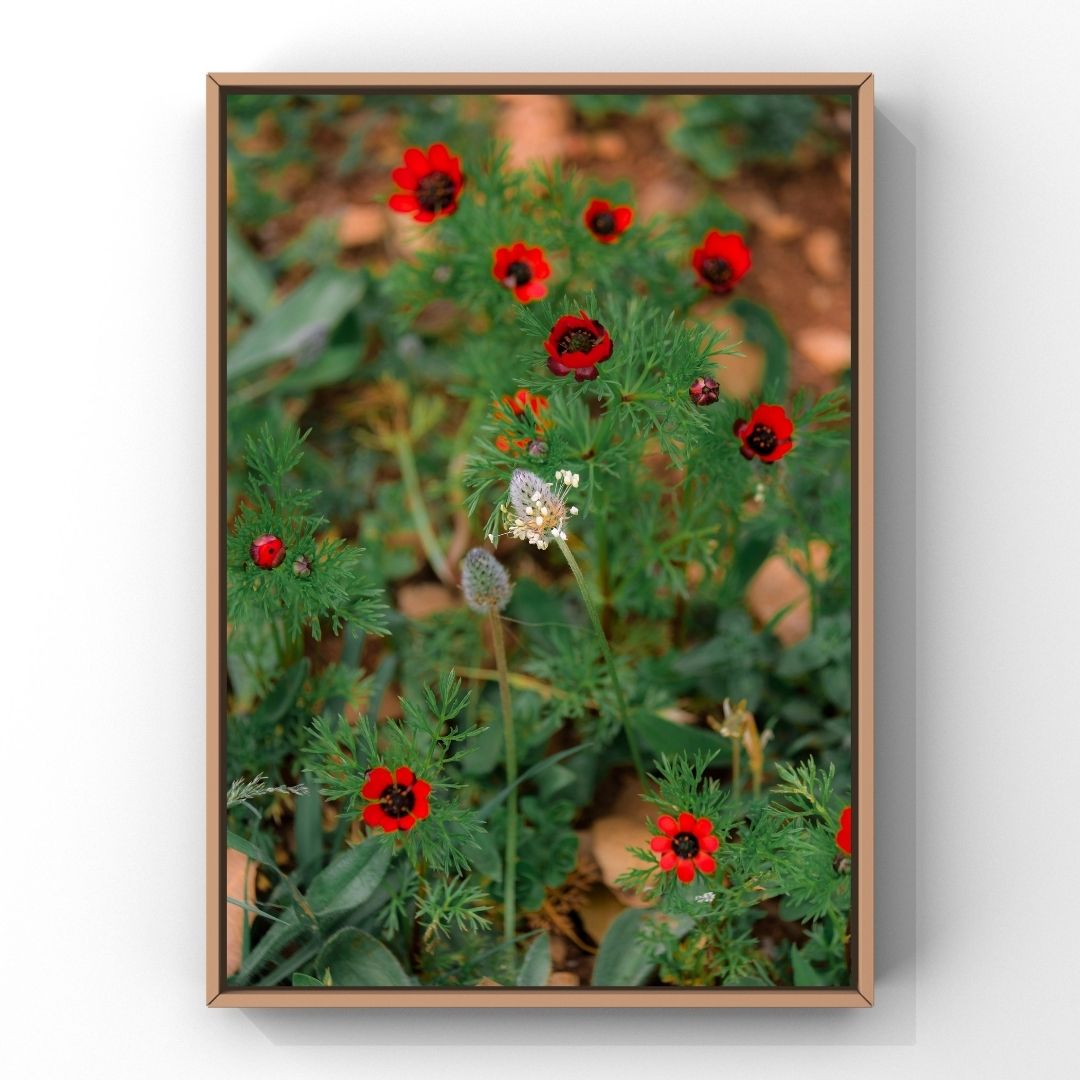 Levantine Kingdom of Tiny Flowers XVIII