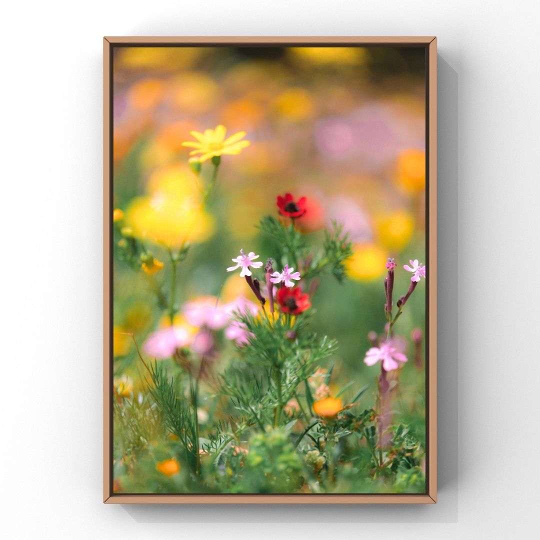 Levantine Kingdom of Tiny Flowers IX