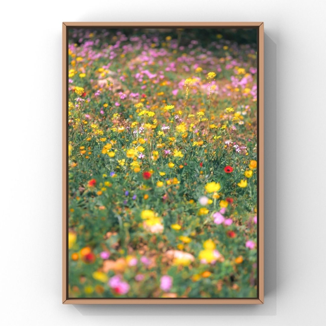 Levantine Kingdom of Tiny Flowers II