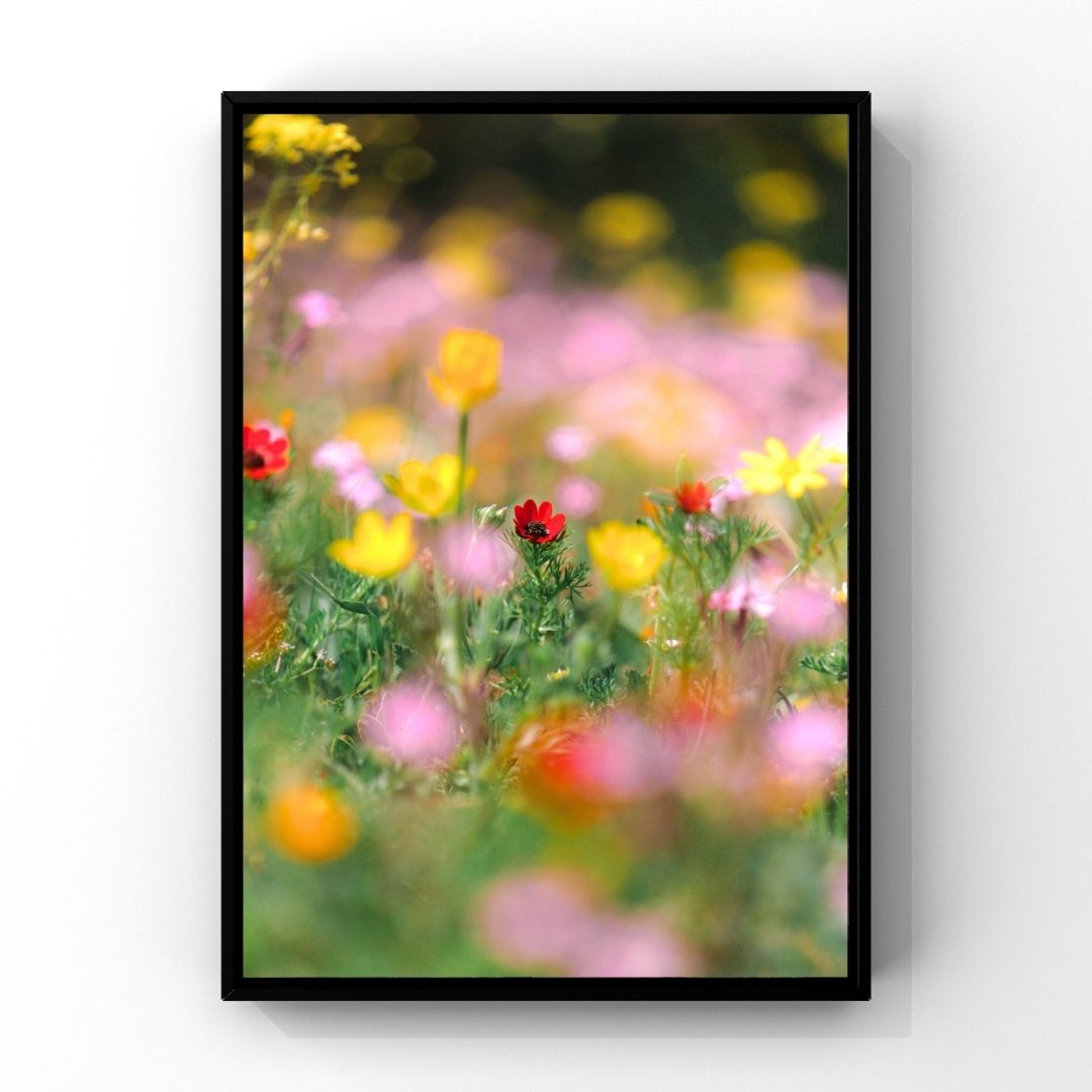 Levantine Kingdom of Tiny Flowers X