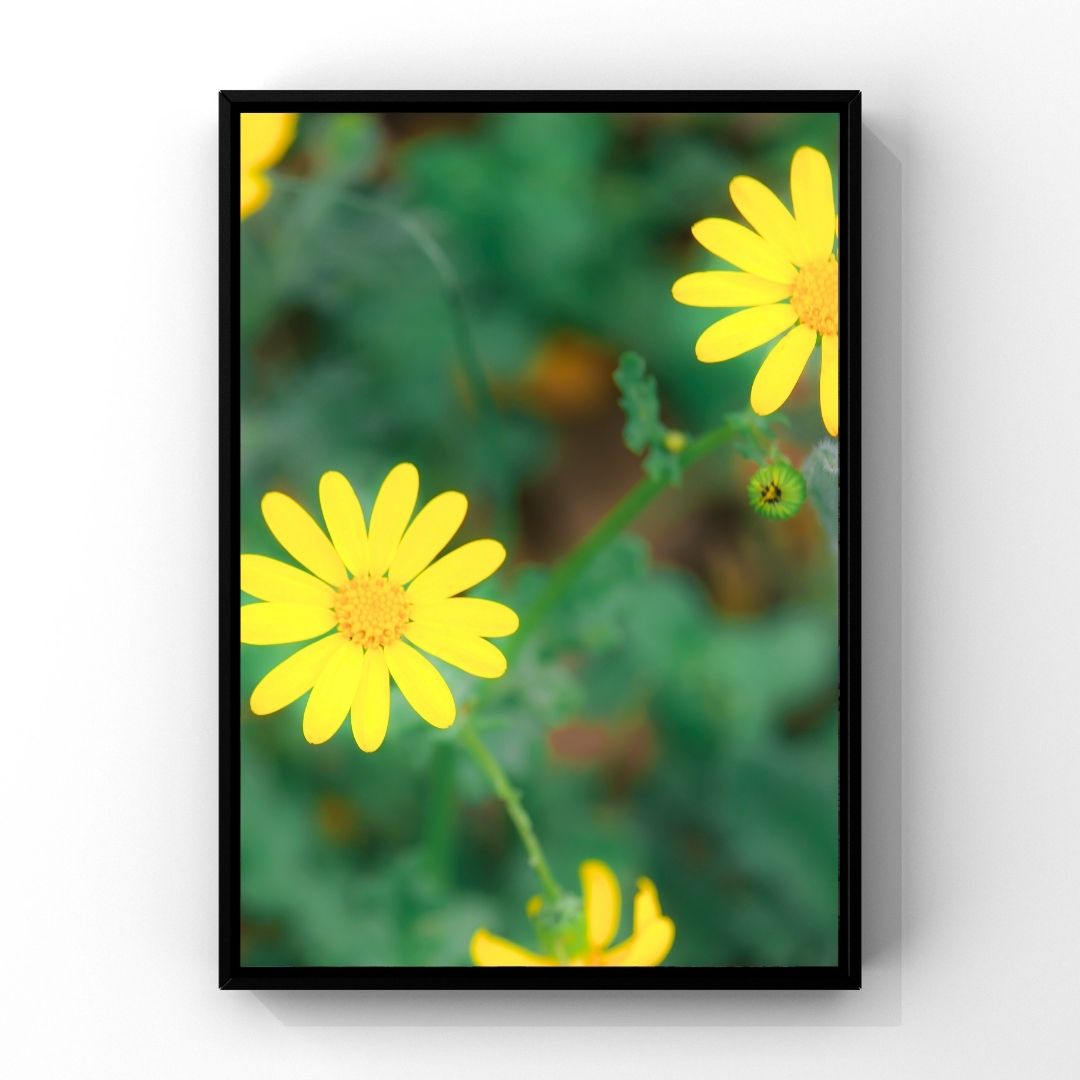 Levantine Kingdom of Tiny Flowers XIV