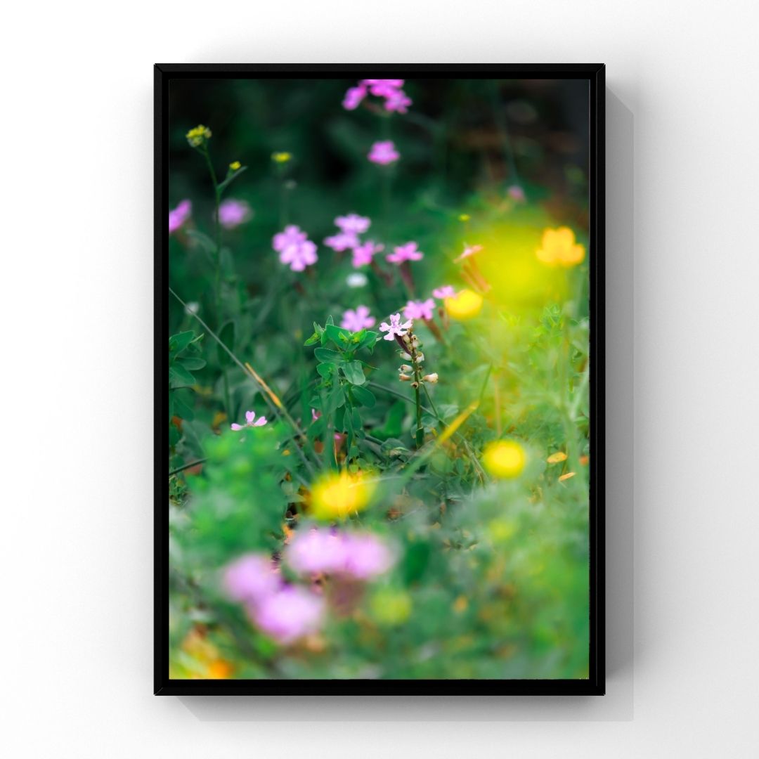 Levantine Kingdom of Tiny Flowers XV