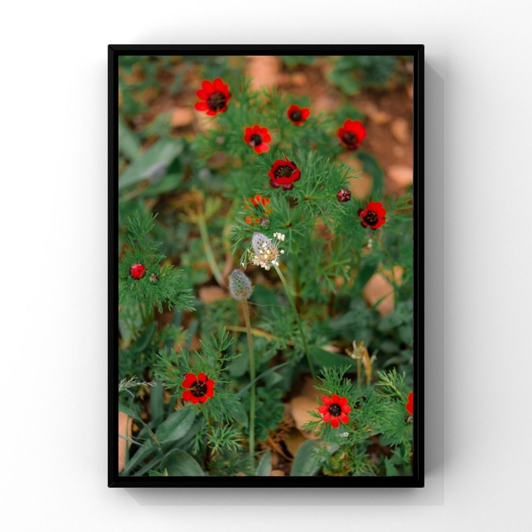 Levantine Kingdom of Tiny Flowers XVIII