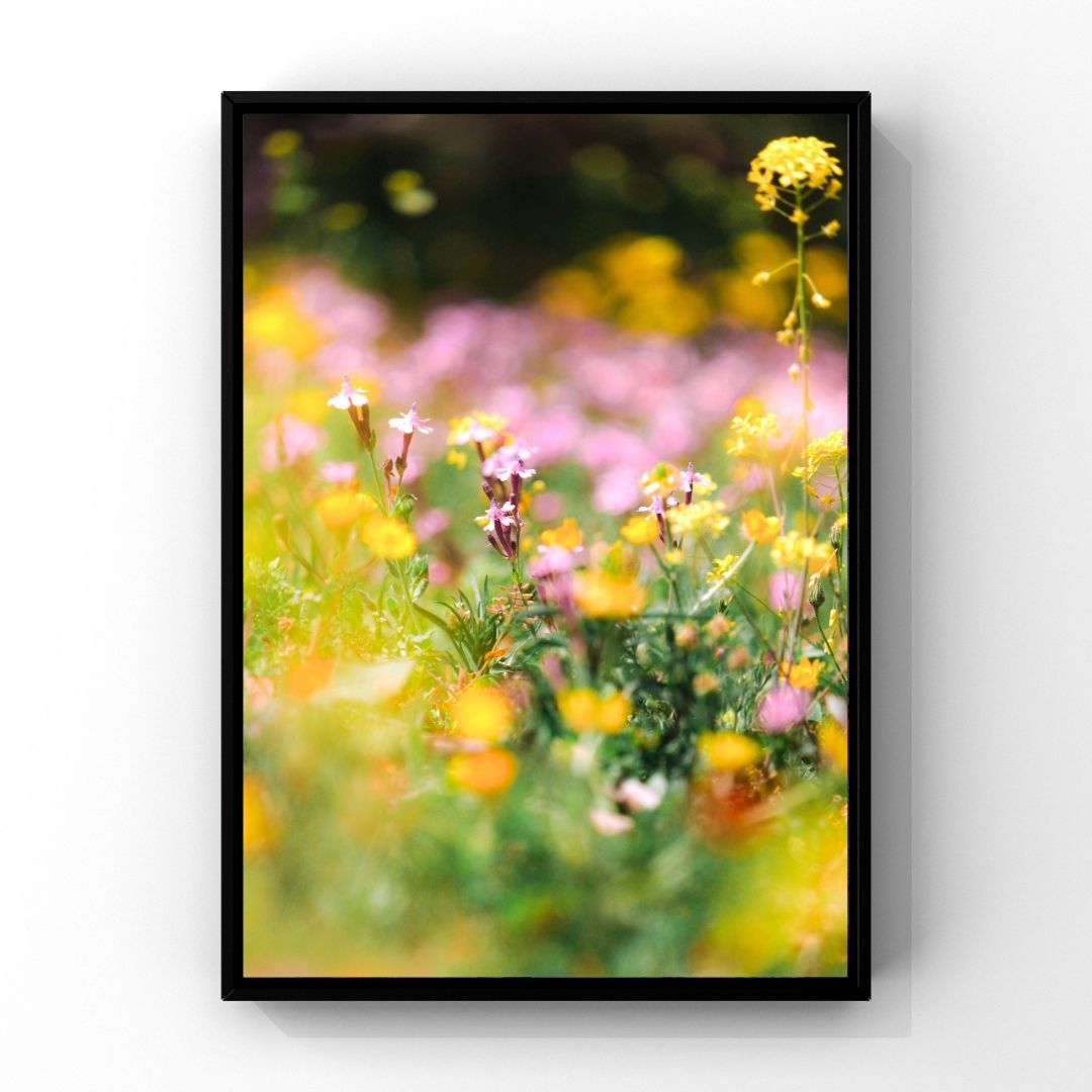 Levantine Kingdom of Tiny Flowers XIX