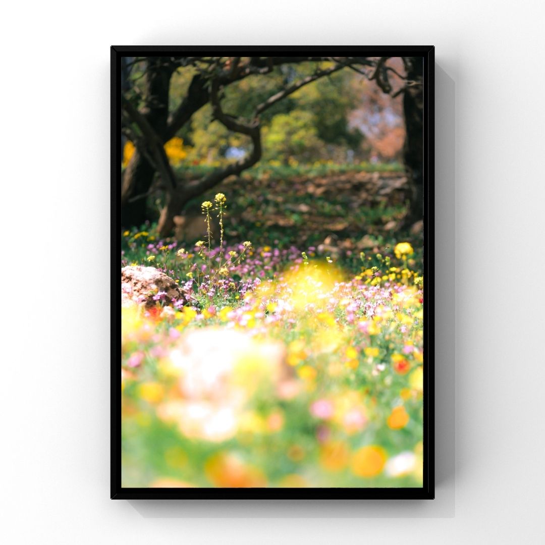 Levantine Kingdom of Tiny Flowers XII