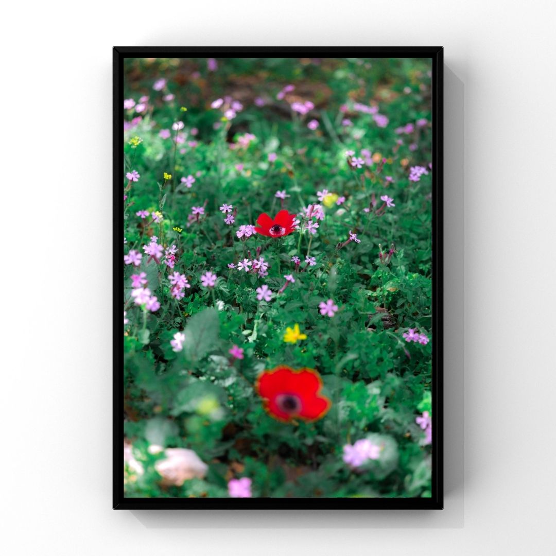 Levantine Kingdom of Tiny Flowers VII