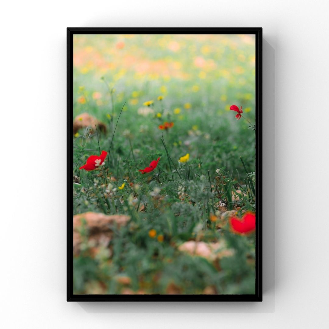 Levantine Kingdom of Tiny Flowers XVI