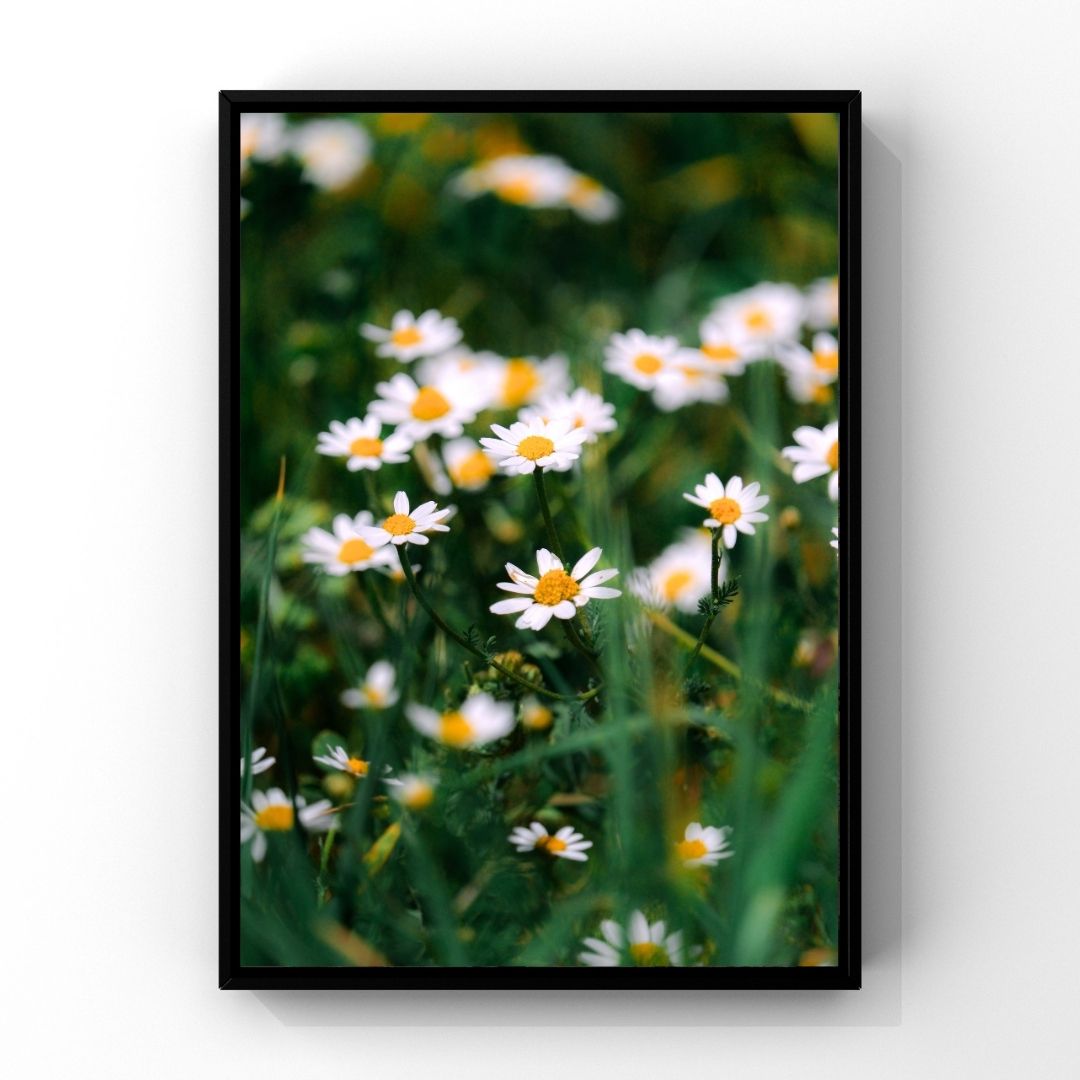 Levantine Kingdom of Tiny Flowers VI