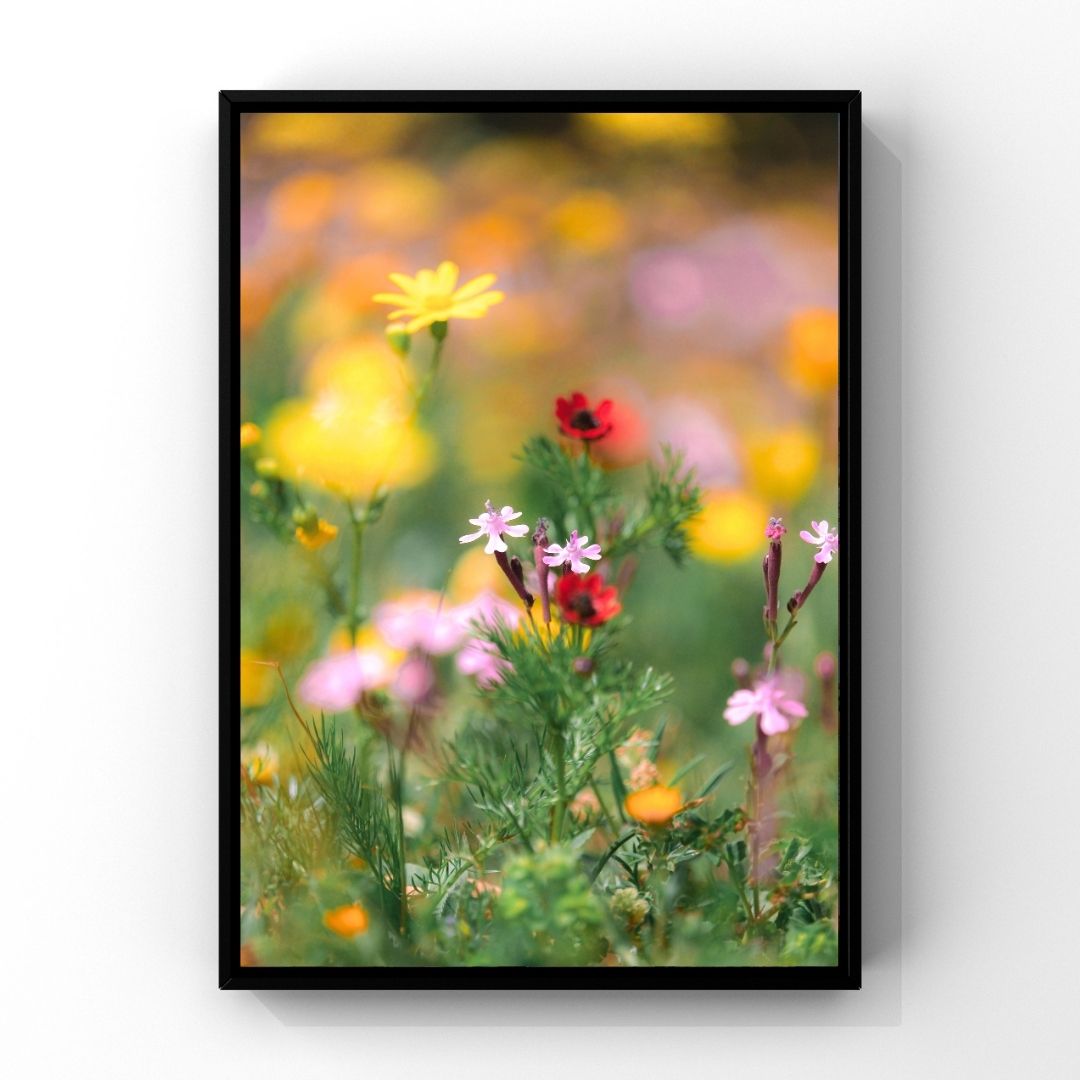 Levantine Kingdom of Tiny Flowers IX