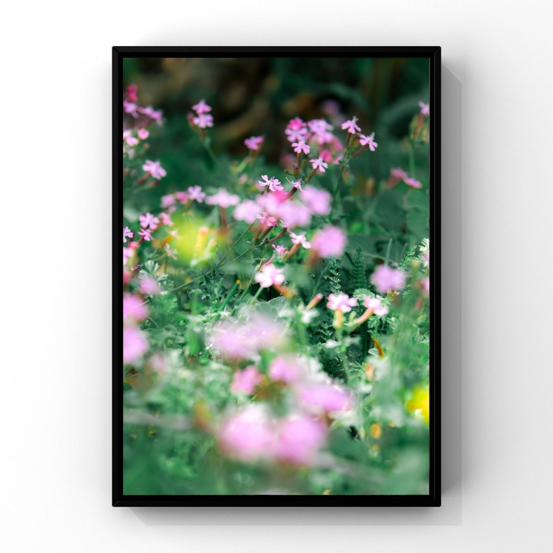 Levantine Kingdom of Tiny Flowers XIII