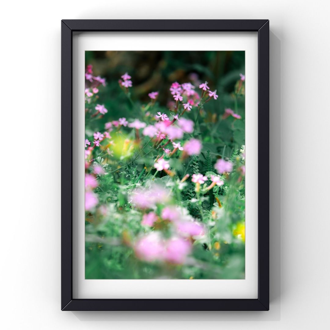 Levantine Kingdom of Tiny Flowers XIII