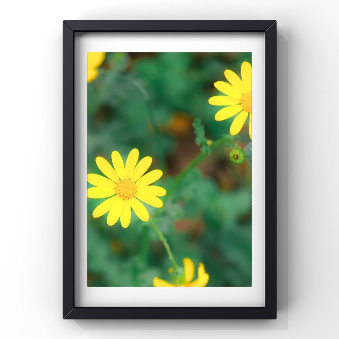 Levantine Kingdom of Tiny Flowers XIV