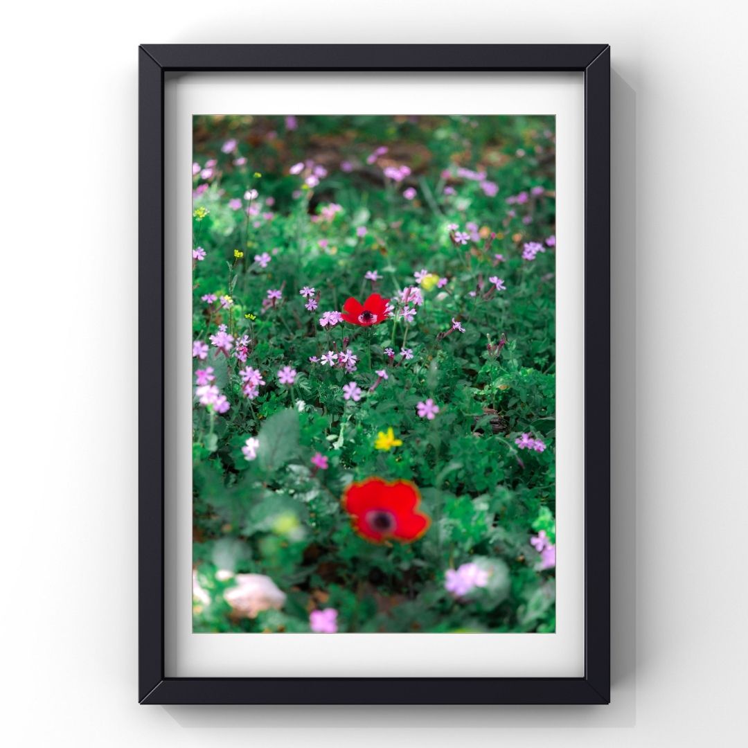 Levantine Kingdom of Tiny Flowers VII