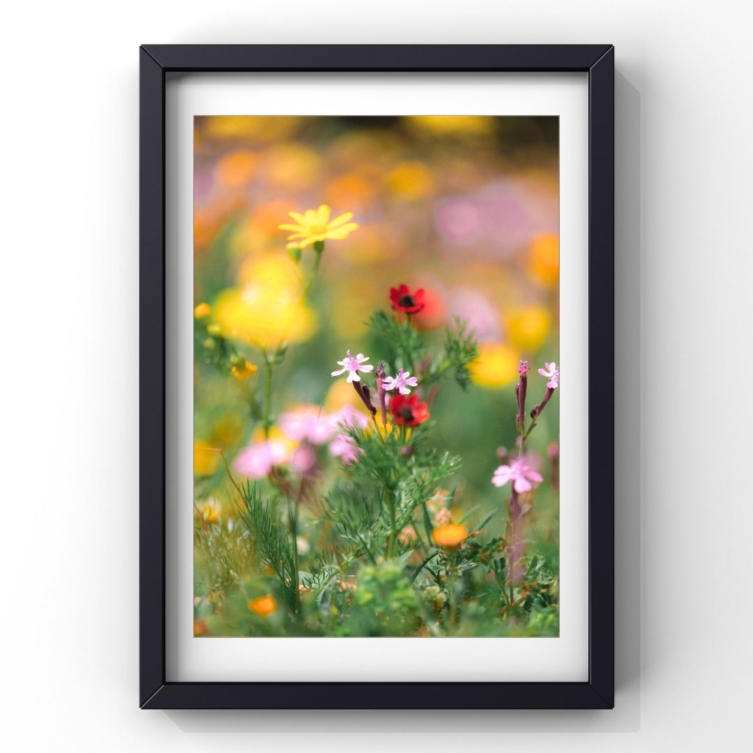 Levantine Kingdom of Tiny Flowers IX