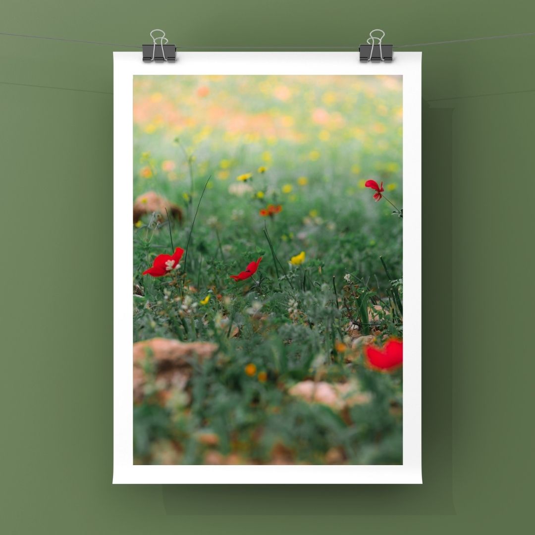 Levantine Kingdom of Tiny Flowers XVI