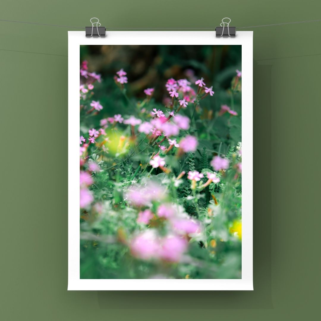 Levantine Kingdom of Tiny Flowers XIII