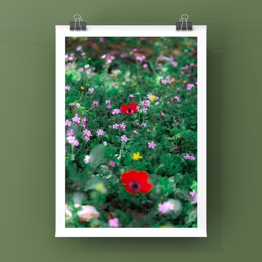 Levantine Kingdom of Tiny Flowers VII