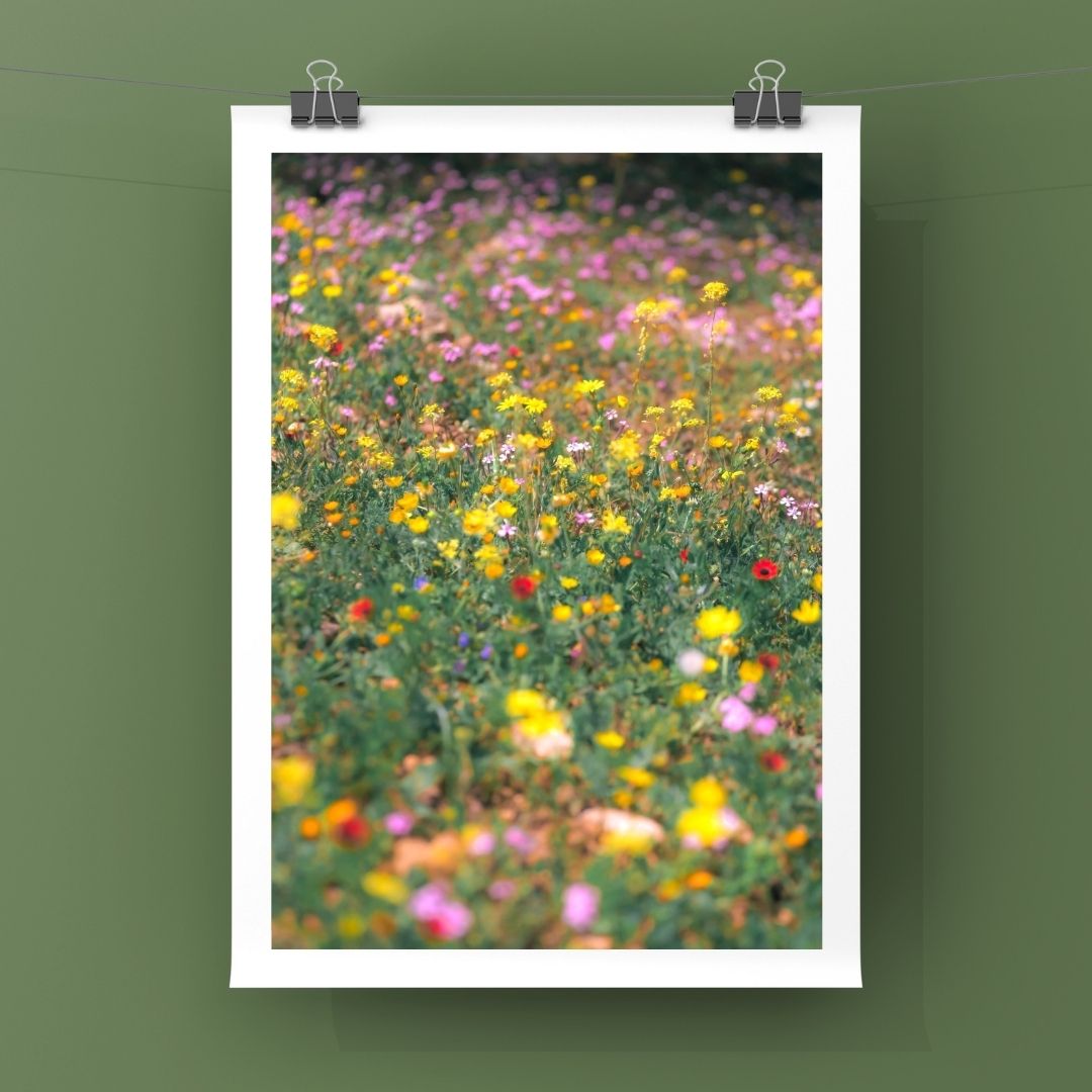 Levantine Kingdom of Tiny Flowers II