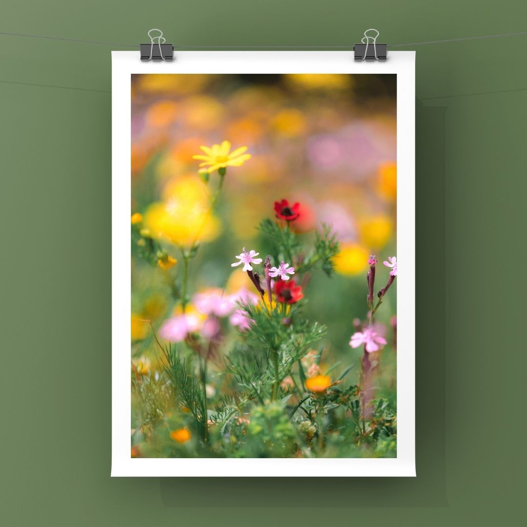 Levantine Kingdom of Tiny Flowers IX