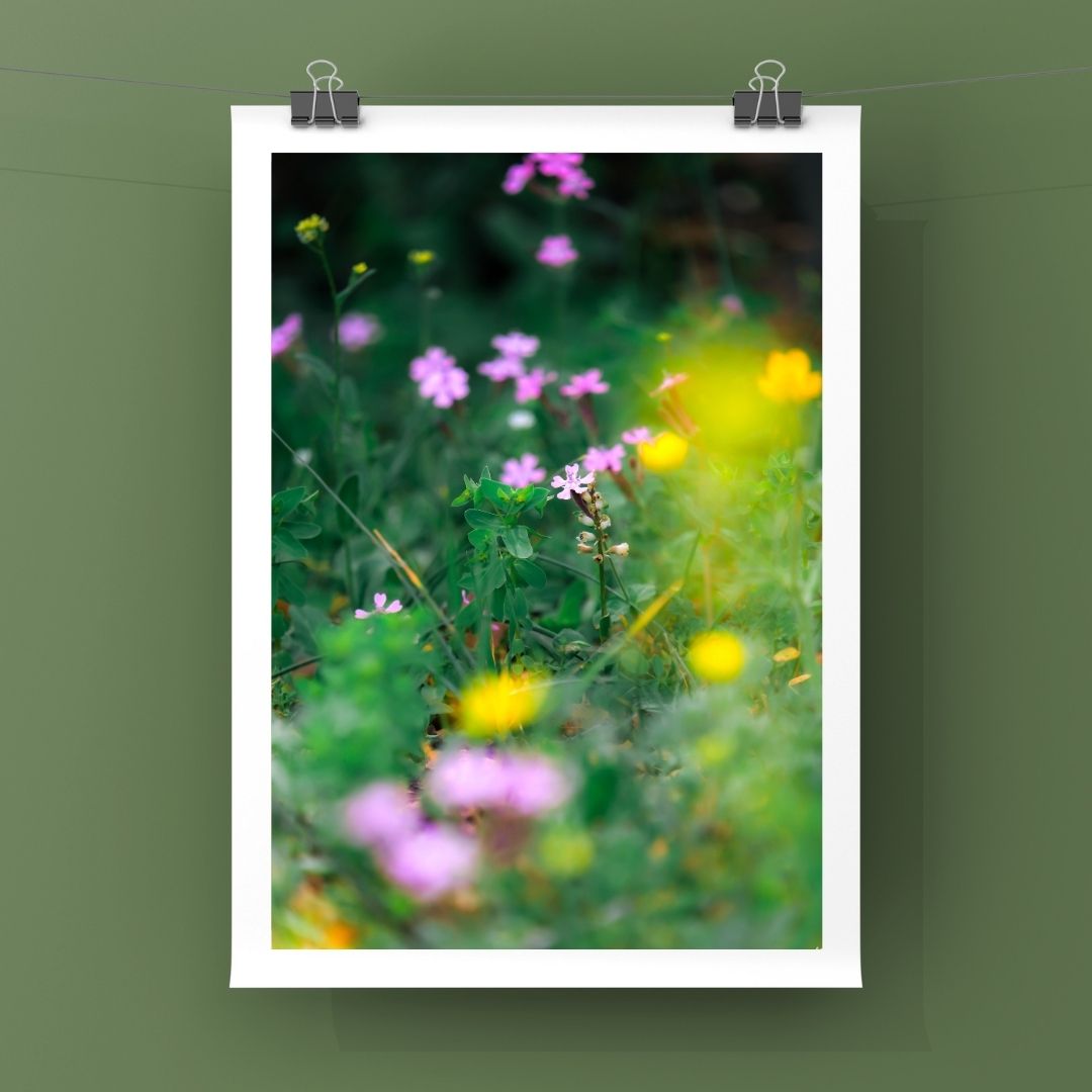 Levantine Kingdom of Tiny Flowers XV