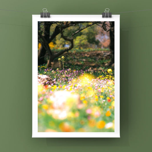 Levantine Kingdom of Tiny Flowers XII
