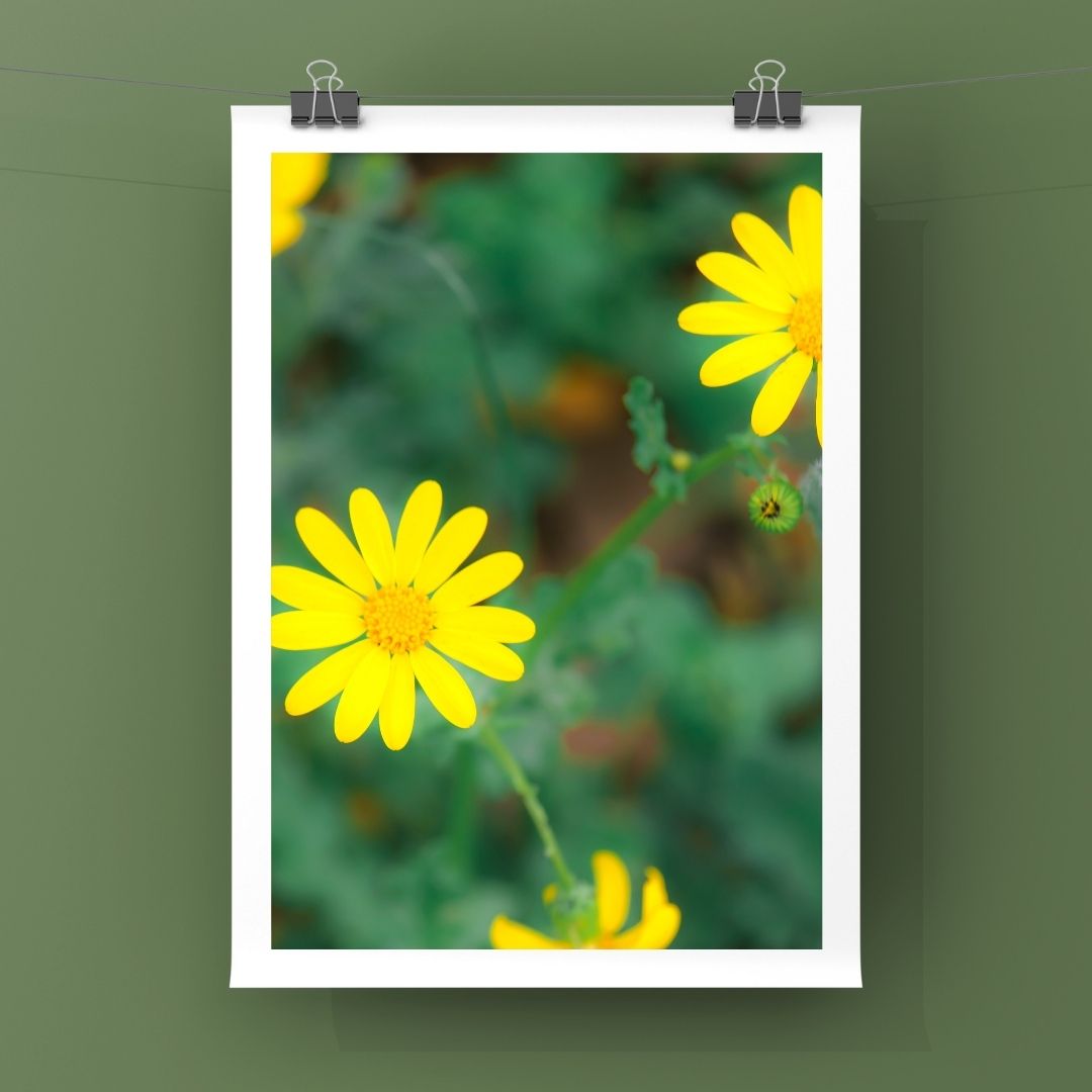 Levantine Kingdom of Tiny Flowers XIV