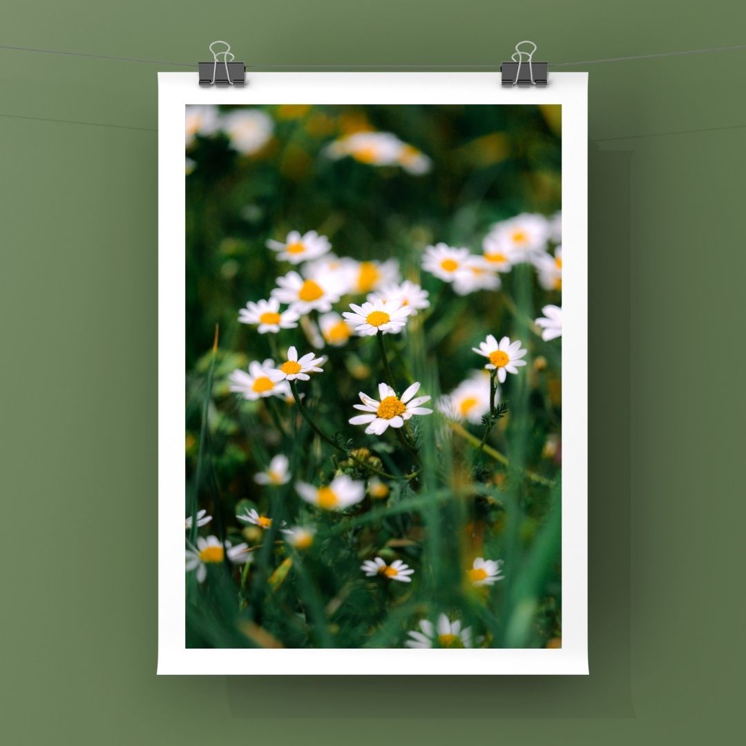 Levantine Kingdom of Tiny Flowers VI