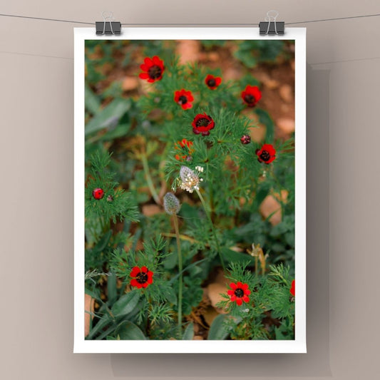 Levantine Kingdom of Tiny Flowers XVIII