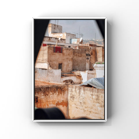 Frames of Fez