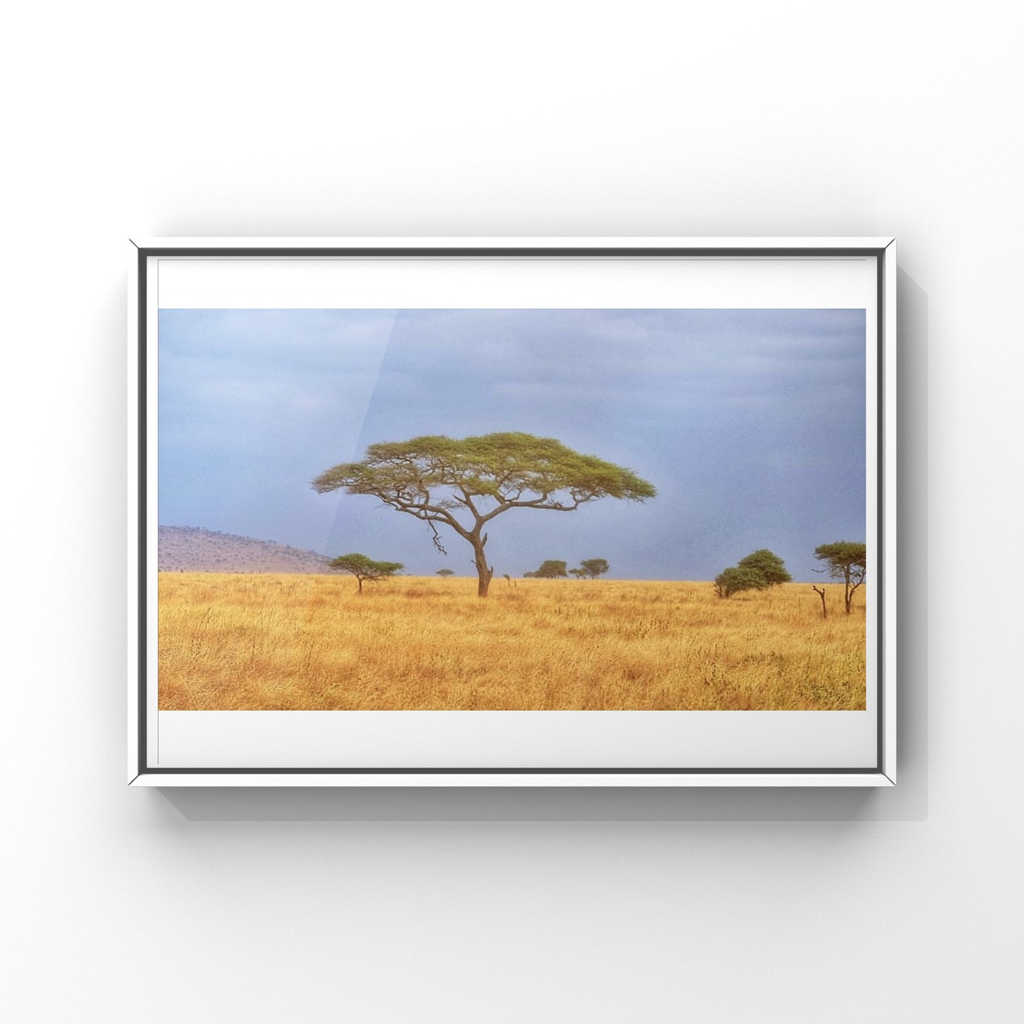 Serengeti