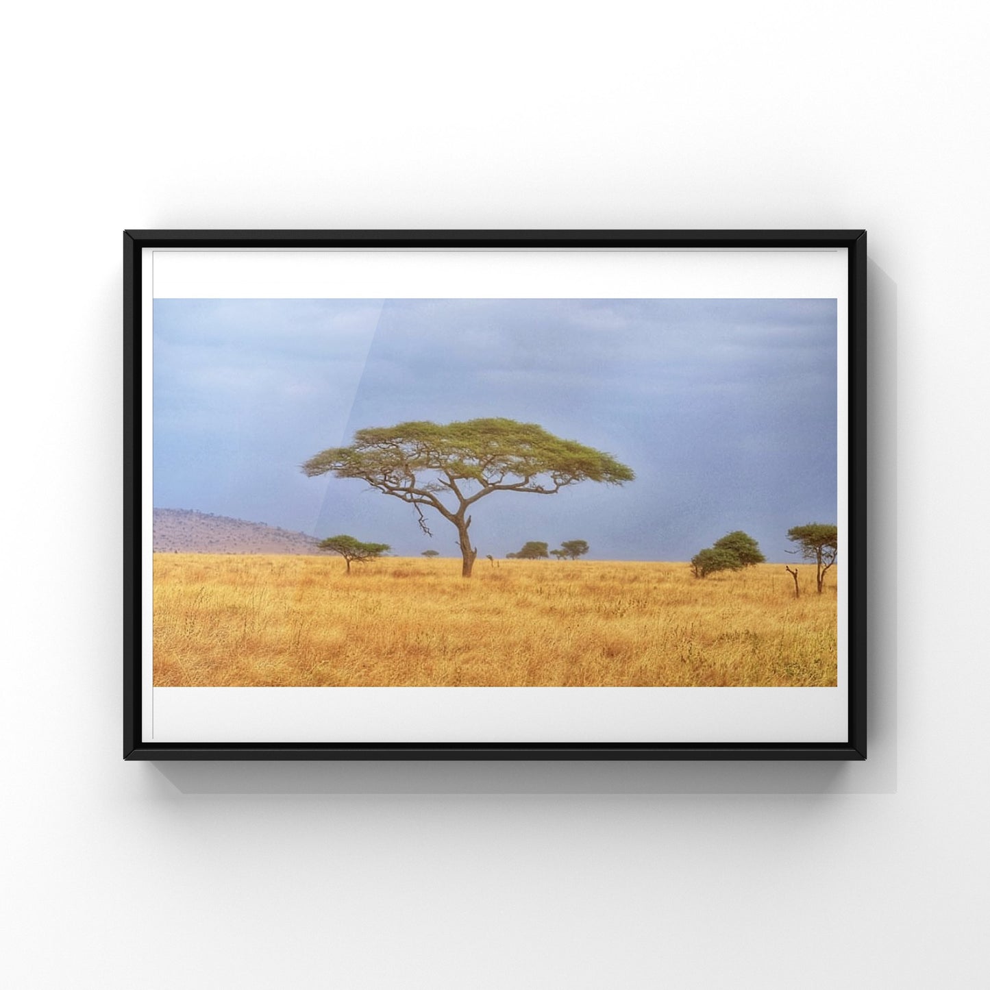 Serengeti